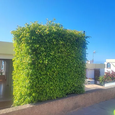 Casa Panorama 314 Maspalomas דירה San Agustín